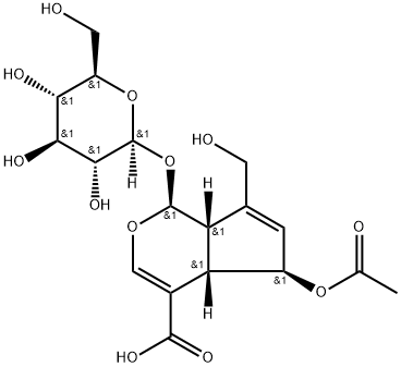 6-O-Acetylscandoside Struktur