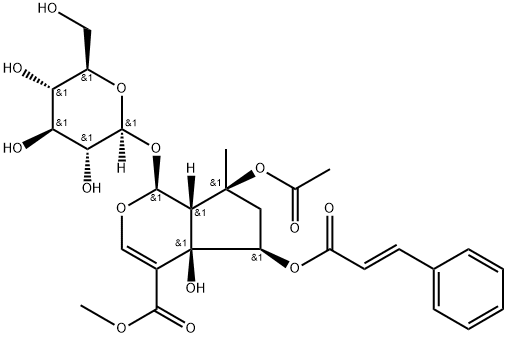 6-O-trans-Cinnamoylphlorigidoside B