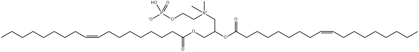 DOCP Struktur