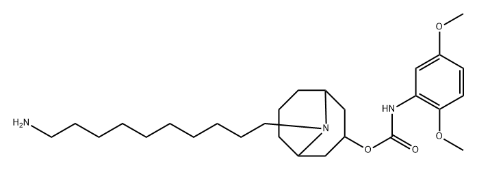 SW43 Struktur