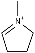 1-methyl-delta(1)-pyrrolinium Struktur