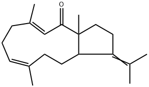 EDUENONE Struktur