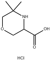 3-Morpholinecarboxylic acid, 5,5-dimethyl-, hydrochloride (1:1) Struktur