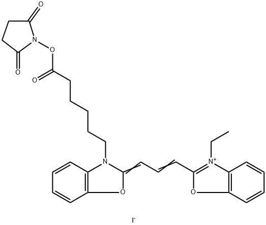 CY2-SE Struktur