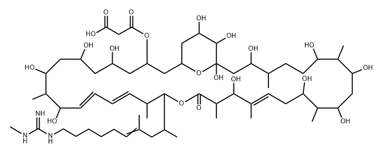 Propanedioic acid, 1-[5,7,9,11,21,25,27,29,31,35,37,38,39-tridecahydroxy-17-[9-[[imino(methylamino)methyl]amino]-1,3-dimethyl-3-nonen-1-yl]-10,16,20,22,26,30,34-heptamethyl-19-oxo-18,41-dioxabicyclo[35.3.1]hentetraconta-12,14,22-trien-3-yl] ester, (+)- Struktur