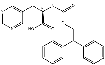  化學(xué)構(gòu)造式