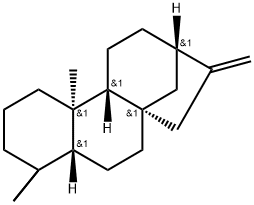 DACRENE