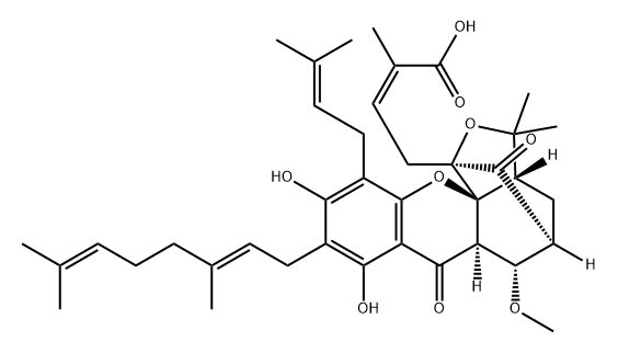 10-Methoxygambogenic acid Struktur