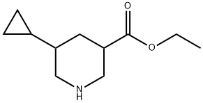 ethyl5-cyclopropylpiperidine-3-carboxylate Struktur