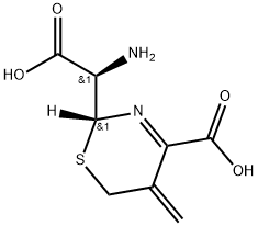 2H-1,3-Thiazine-2-acetic acid, α-amino-4-carboxy-5,6-dihydro-5-methylene-, (αR,2R)- Struktur