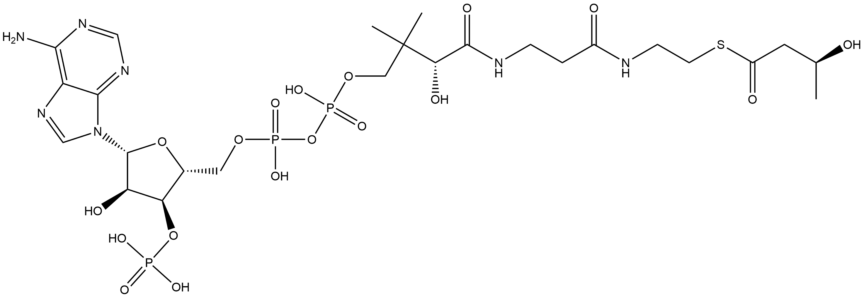 Coenzyme A, S-[(3S)-3-hydroxybutanoate] Struktur