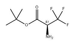 tert-butyl (S)-2-amino-3,3,3-trifluoropropanoate Struktur