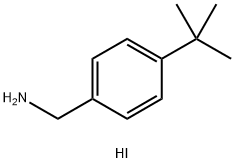 Benzenemethanamine, 4-(1,1-dimethylethyl)-, hydriodide Struktur