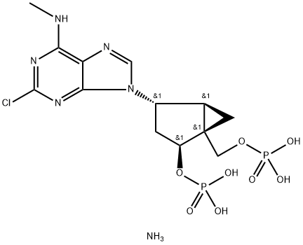 INDEX NAME NOT YET ASSIGNED Struktur