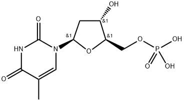 Poly T Struktur