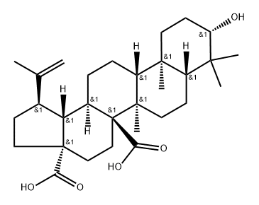 3β-Hydroxylup-20(29)-ene-27,28-dioic acid Struktur