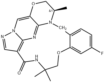 INDEX NAME NOT YET ASSIGNED Struktur