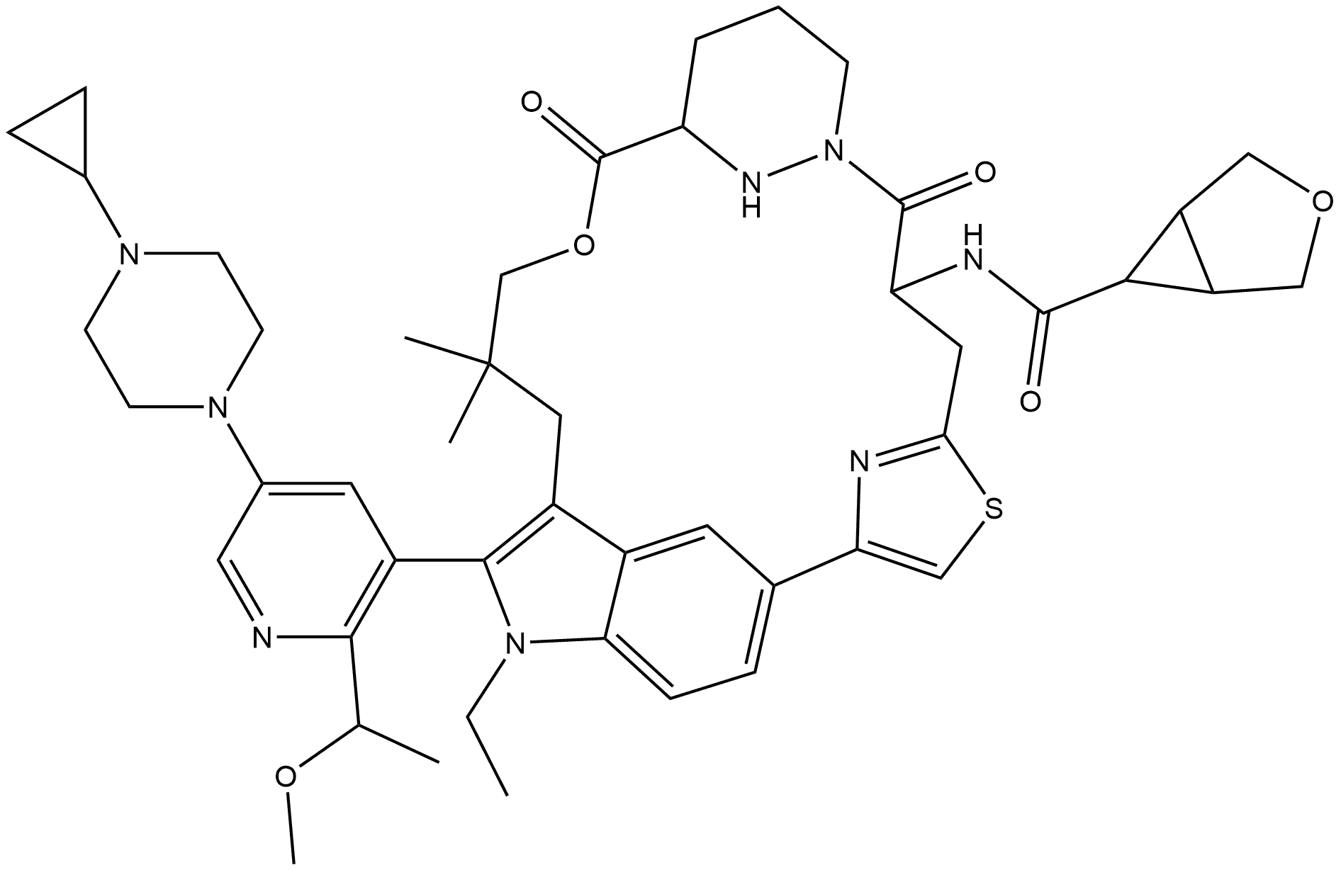 RMC-7977 Struktur