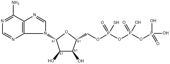 ATPαS Struktur