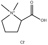 Stachydrine hydrochloride Struktur