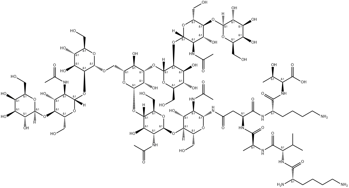 G2-peptide Struktur