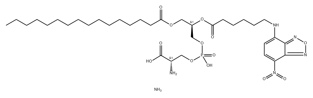 16:0-06:0 NBD PS|16:0-06:0 NBD 磷脂酰絲氨酸