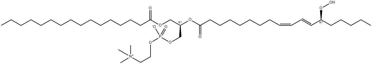 1-Palmitoyl-2-13(S)-HpODE-sn-glycero-3-PC Struktur