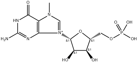 m(7)GMP Struktur