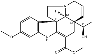 Vandrikidine