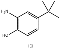 2-Amino-4-(tert-butyl)phenol hydrochloride