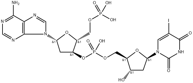 poly(dA-IdU) Struktur