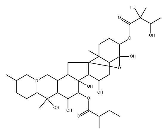 neogermbudine Struktur