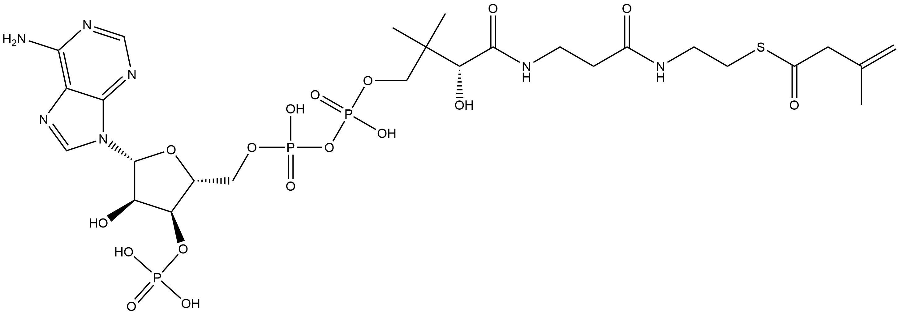 Coenzyme A, S-(3-methyl-3-butenoate) Struktur