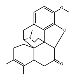 RX 336M Struktur