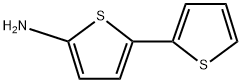 [2,2'-Bithiophen]-5-amine Struktur