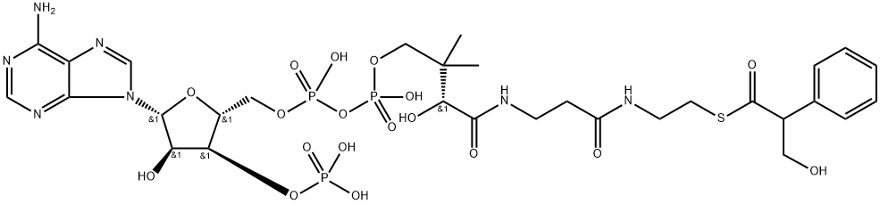 tropoyl-coenzyme A Struktur