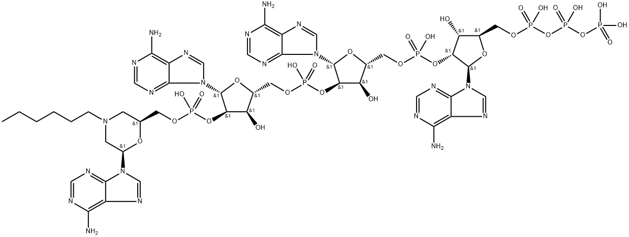 N-hexylmorpholine-2',5'-oligoadenylate Struktur