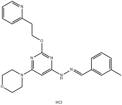 Benzaldehyde, 3-methyl-, 2-[6-(4-morpholinyl)-2-[2-(2-pyridinyl)ethoxy]-4-pyrimidinyl]hydrazone, hydrochloride (1:2) Struktur