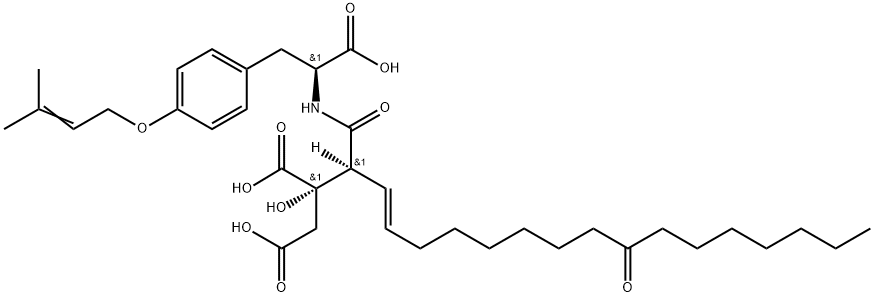 NA-255 Struktur