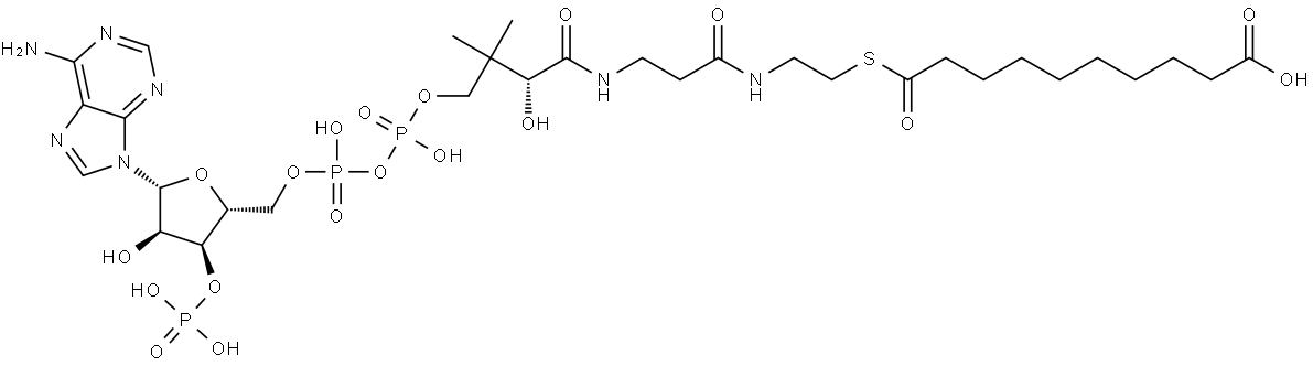 Coenzyme A, S-(hydrogen decanedioate) Struktur