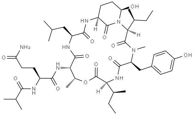 L-Isoleucine, N2-(2-methyl-1-oxopropyl)-L-glutaminyl-L-threonyl-L-leucyl-(αS,3S,6R)-3-amino-6-hydroxy-α-[(1S)-1-methylpropyl]-2-oxo-1-piperidineacetyl-N-methyl-L-tyrosyl-, (6→2)-lactone Struktur