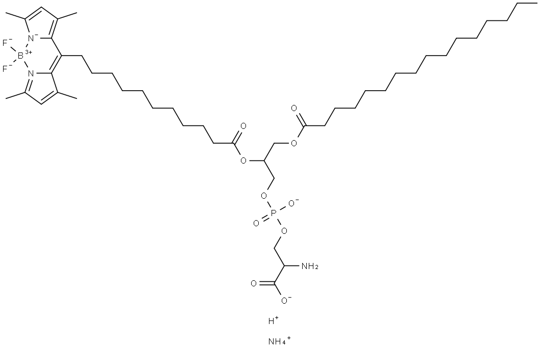 1-palMitoyl-2-(dipyrroMetheneboron difluoride)undecanoyl-sn-glycero-3-phospho-L-serine (aMMoniuM salt) Struktur