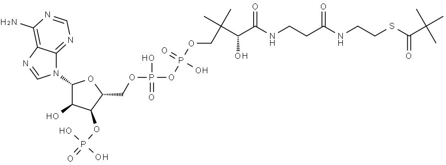 Coenzyme A, S-(2,2-dimethylpropanoate) Struktur