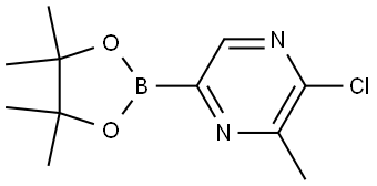 2-chloro-3-methyl-5-(4,4,5,5-tetramethyl-1,3,2-dioxaborolan-2-yl)pyrazine Struktur