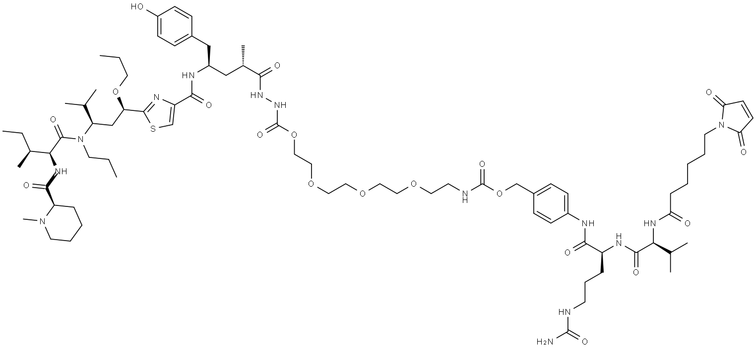 TAM558 Struktur