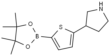 5-(Pyrrolidin-3-yl)thiophene-2-boronic acid pinacol ester Struktur