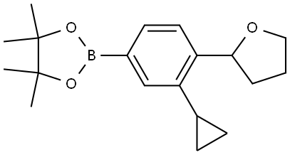 2-(3-cyclopropyl-4-(tetrahydrofuran-2-yl)phenyl)-4,4,5,5-tetramethyl-1,3,2-dioxaborolane Struktur