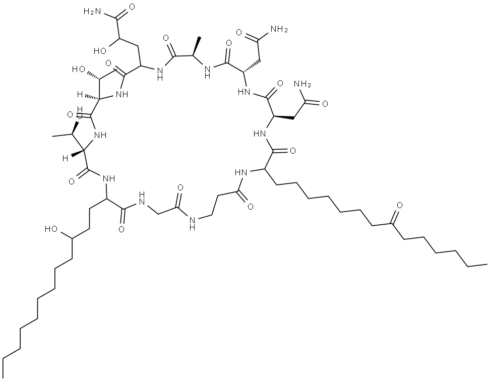 Arborcandin D Struktur