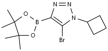 5-bromo-1-cyclobutyl-4-(4,4,5,5-tetramethyl-1,3,2-dioxaborolan-2-yl)-1H-1,2,3-triazole Struktur