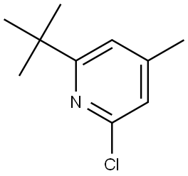 2-(tert-butyl)-6-chloro-4-methylpyridine Struktur